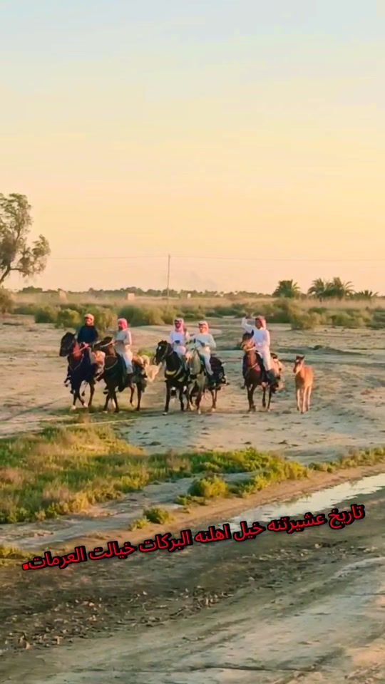 TikTok video thumbnail by z_2003b