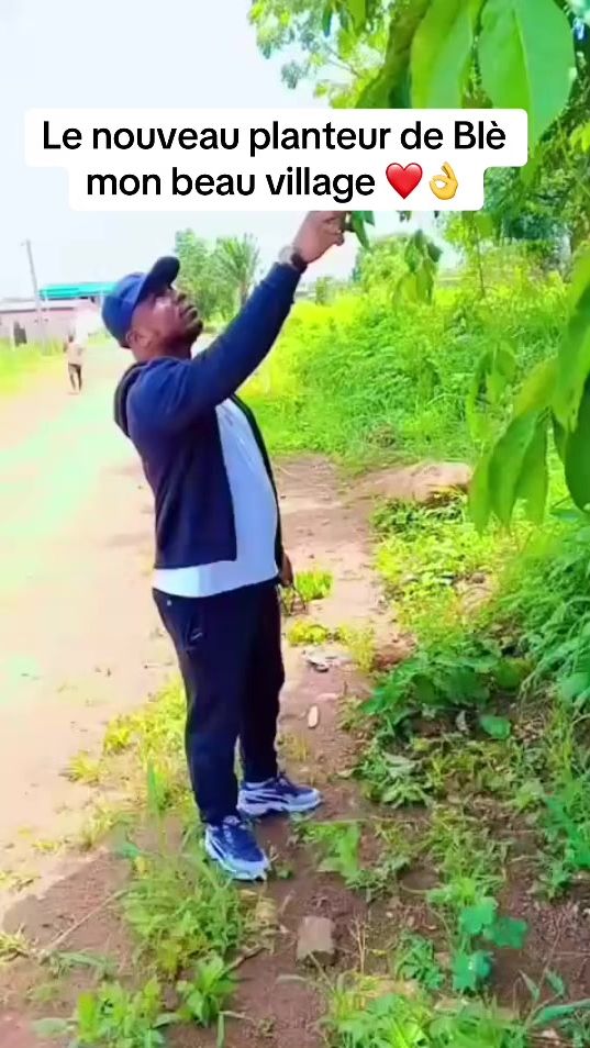 TikTok video thumbnail by nanakouadio2