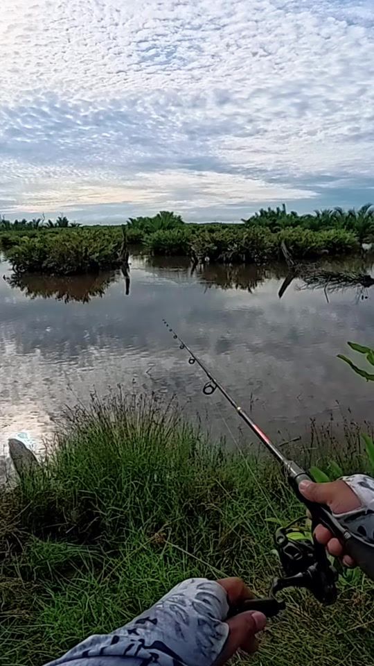 TikTok video thumbnail by akmal_hafriyani