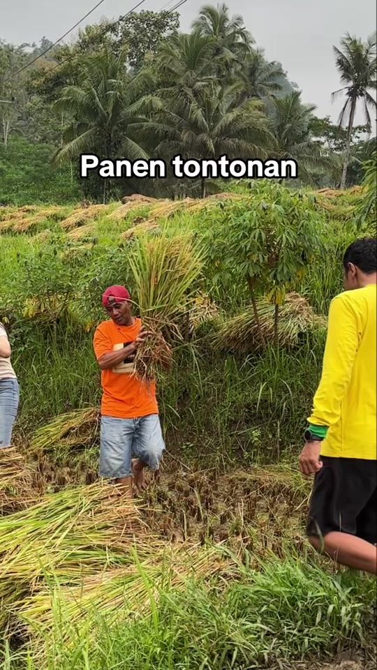 TikTok video thumbnail by tombrowidodo