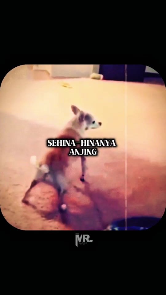 TikTok video thumbnail by mindrich.id_official
