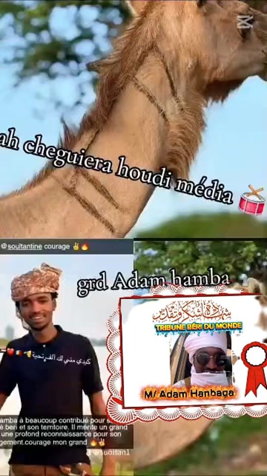 TikTok video thumbnail by el_toroboro249