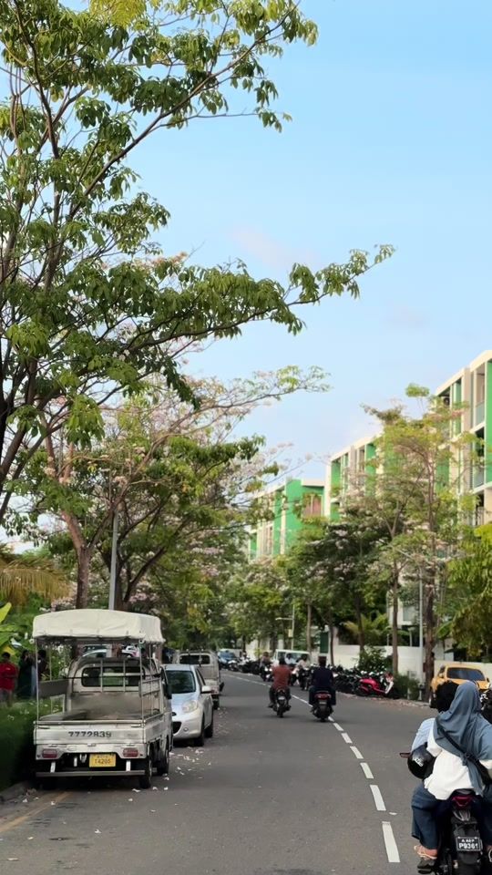 TikTok video thumbnail by lallaevee