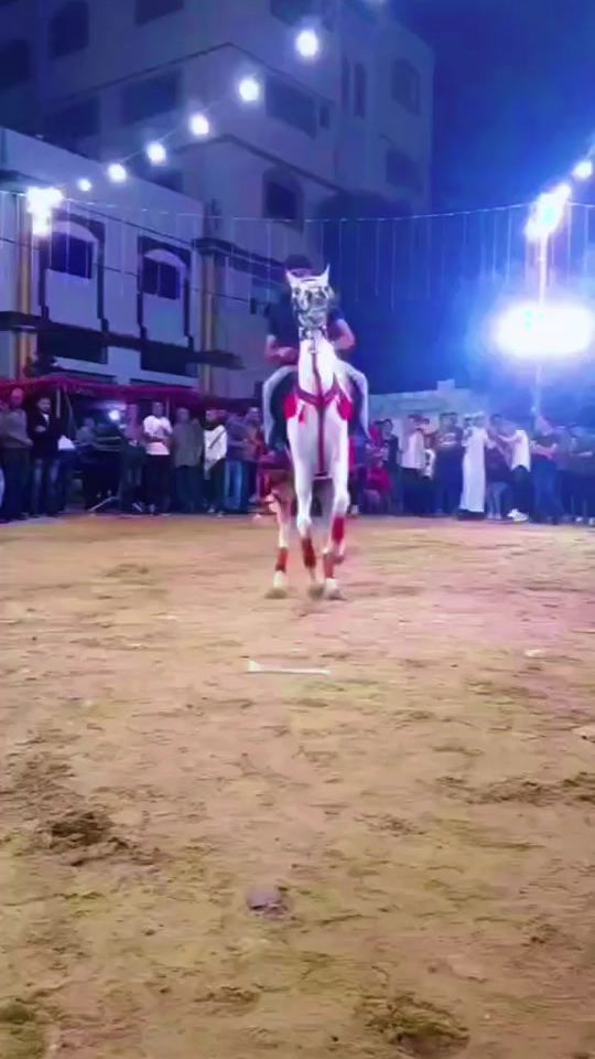 TikTok video thumbnail by aboeslam231