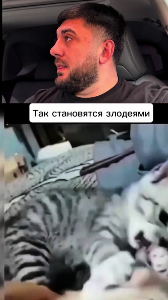 TikTok video thumbnail by sam..7771