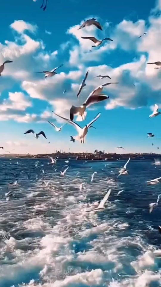 TikTok video thumbnail by sevgim_allaha327