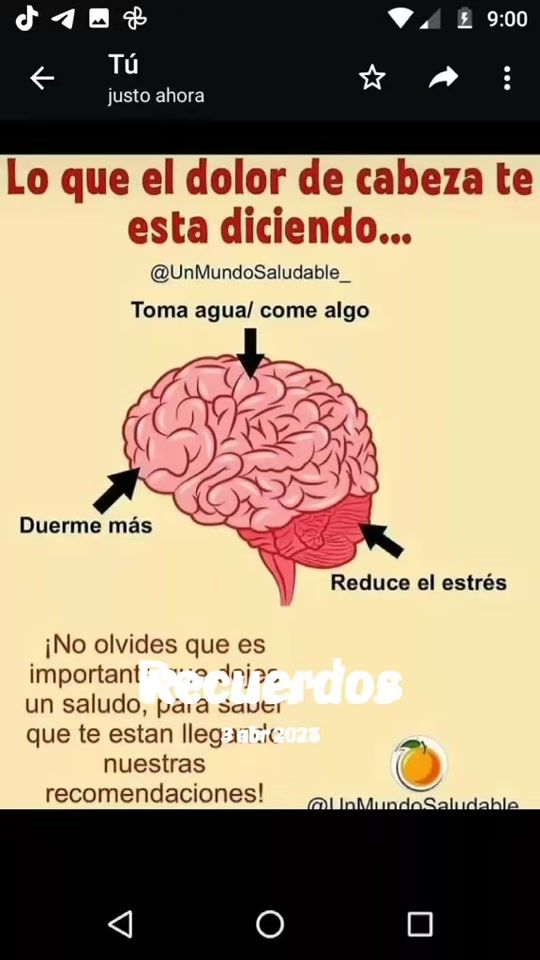 TikTok video thumbnail by daisyagraez