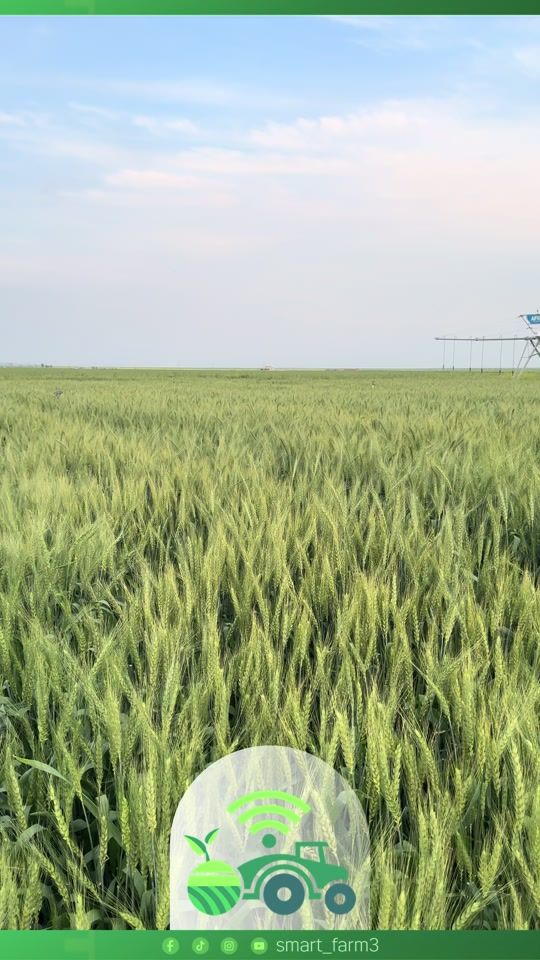 TikTok video thumbnail by smart_farm3