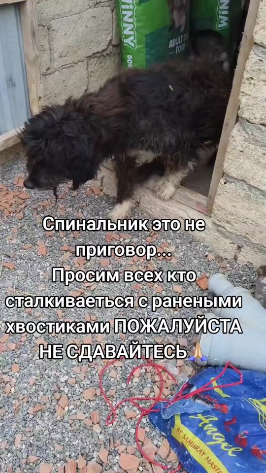 TikTok video thumbnail by little.syuzzi