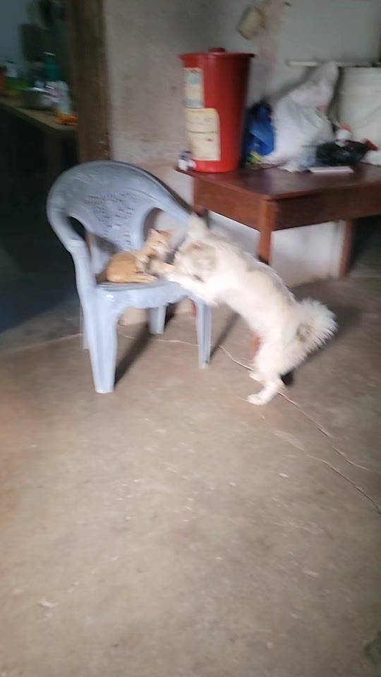 TikTok video thumbnail by krisantac3
