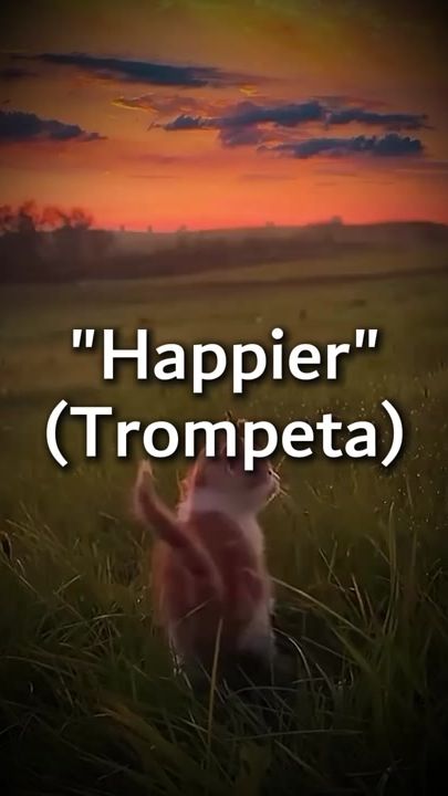 TikTok video thumbnail by inthescore