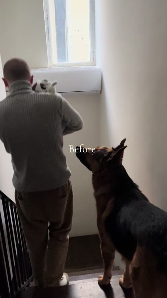 TikTok video thumbnail by samuelandgsd
