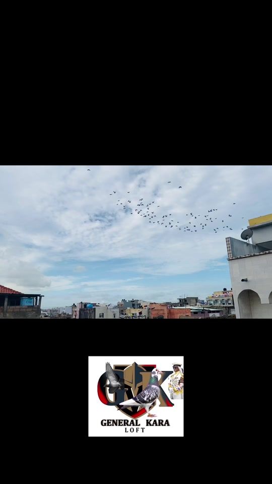 TikTok video thumbnail by general_kara_loft