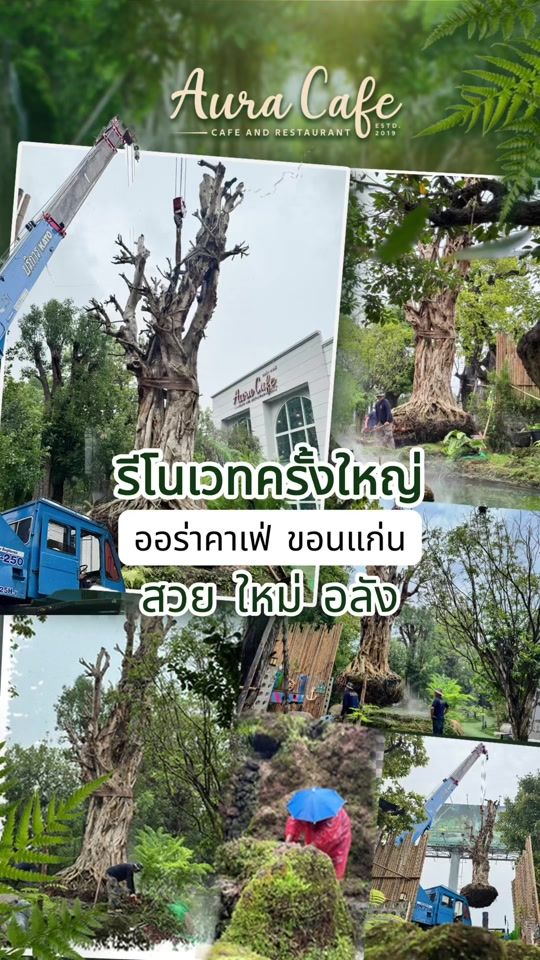 TikTok video thumbnail by auracafe.restaurant