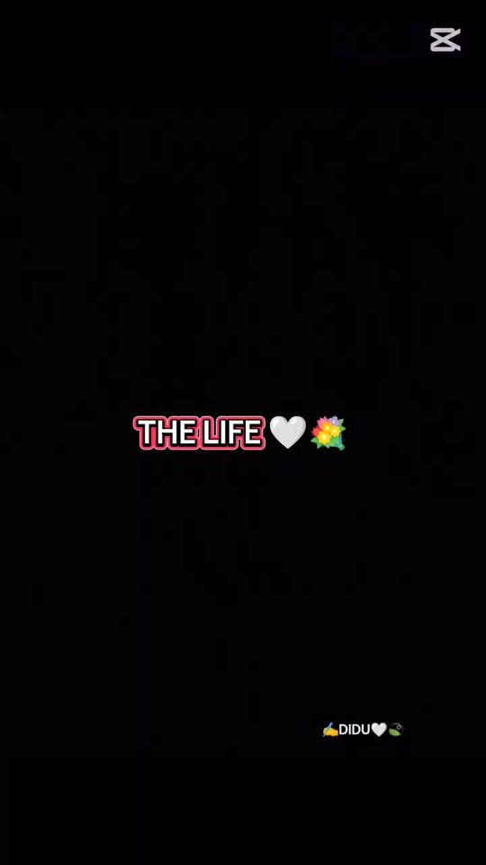 TikTok video thumbnail by diduu0303