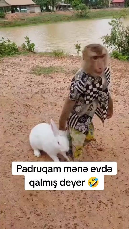TikTok video thumbnail by __elyaa._