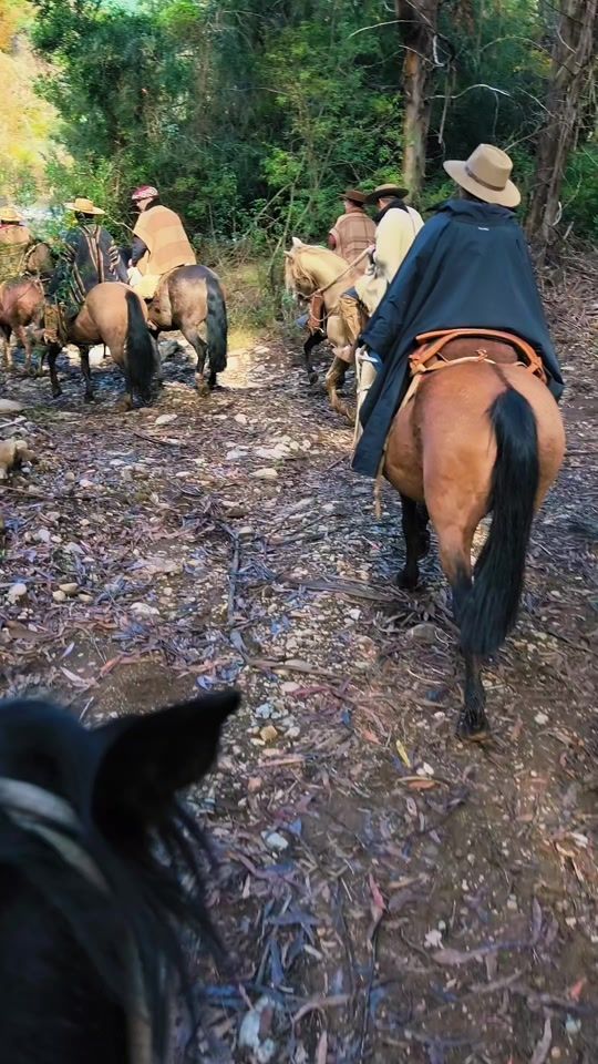 TikTok video thumbnail by guido.biobio