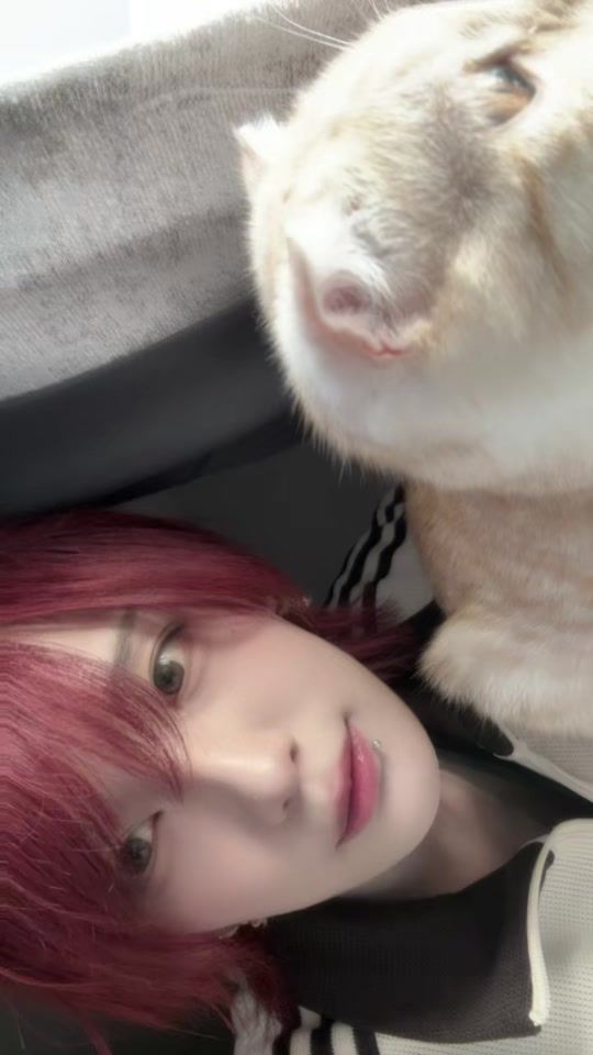 TikTok video thumbnail by descenova_coa