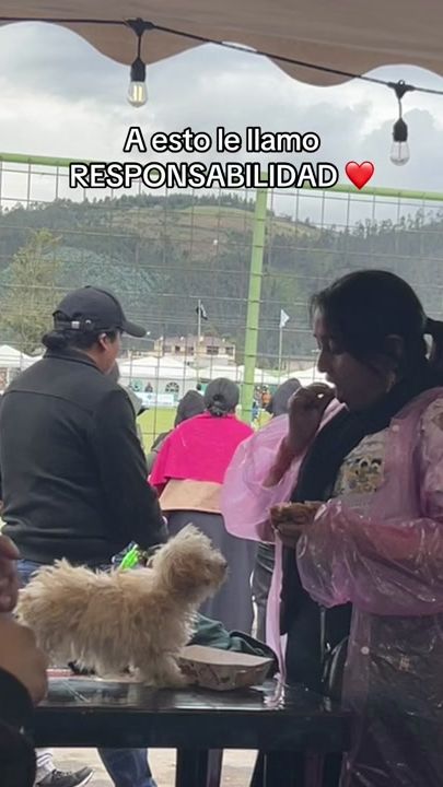 TikTok video thumbnail by dianiix101