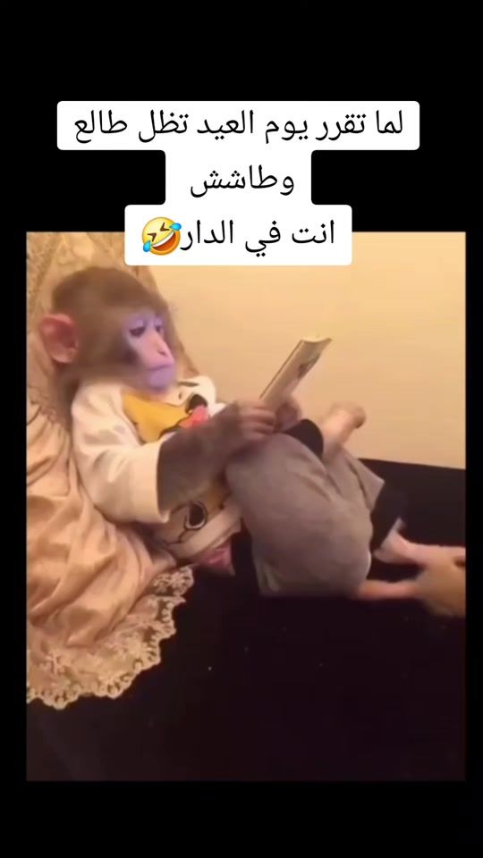 TikTok video thumbnail by g.h.m.10