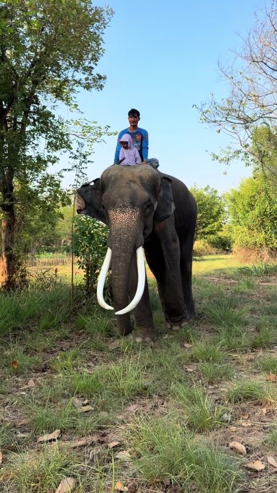 TikTok video thumbnail by amnuai67