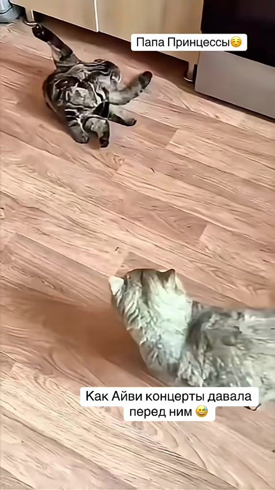 TikTok video thumbnail by meizerbn