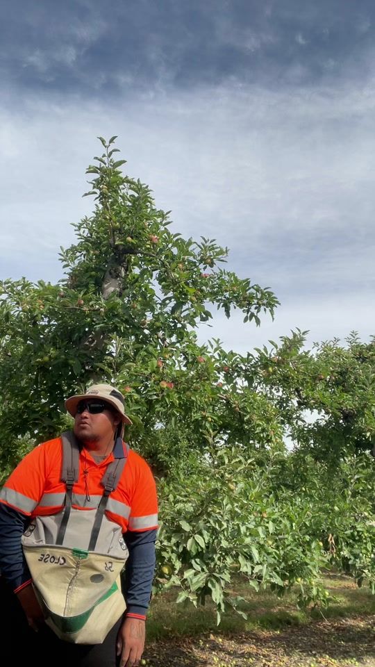 TikTok video thumbnail by tiaka685