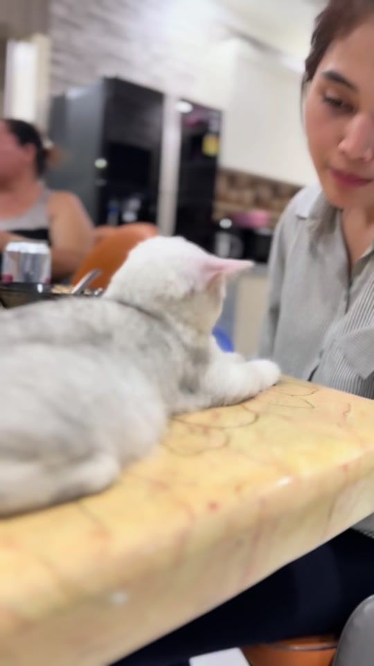 TikTok video thumbnail by ahkakalove