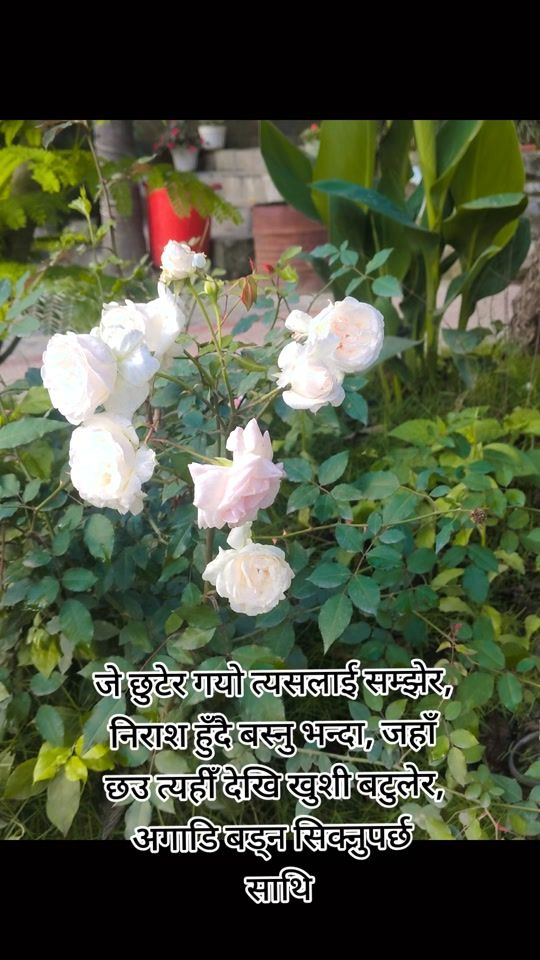 TikTok video thumbnail by lajinashrestha