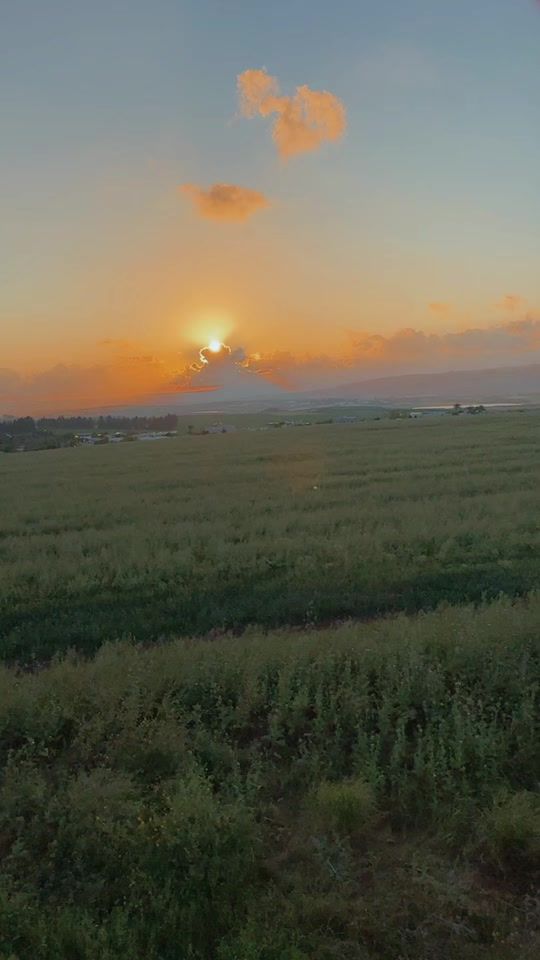 TikTok video thumbnail by sapir.rozen