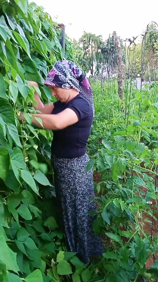 TikTok video thumbnail by asya0.4