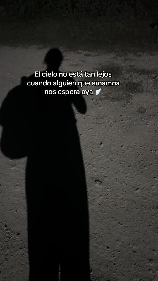 TikTok video thumbnail by luisasnchezolvera