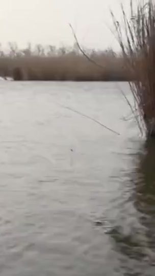 TikTok video thumbnail by fish_10k