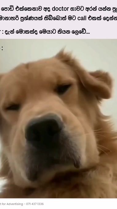 TikTok video thumbnail by ___h_i_t_a_n___