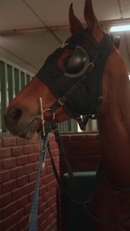 TikTok video thumbnail by m.o17871