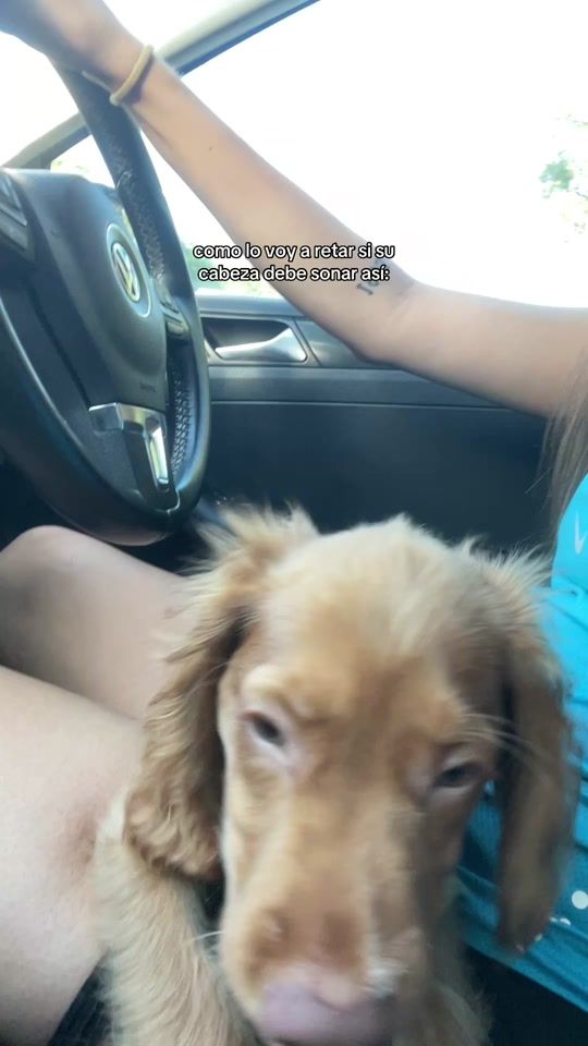 TikTok video thumbnail by emi_massimino