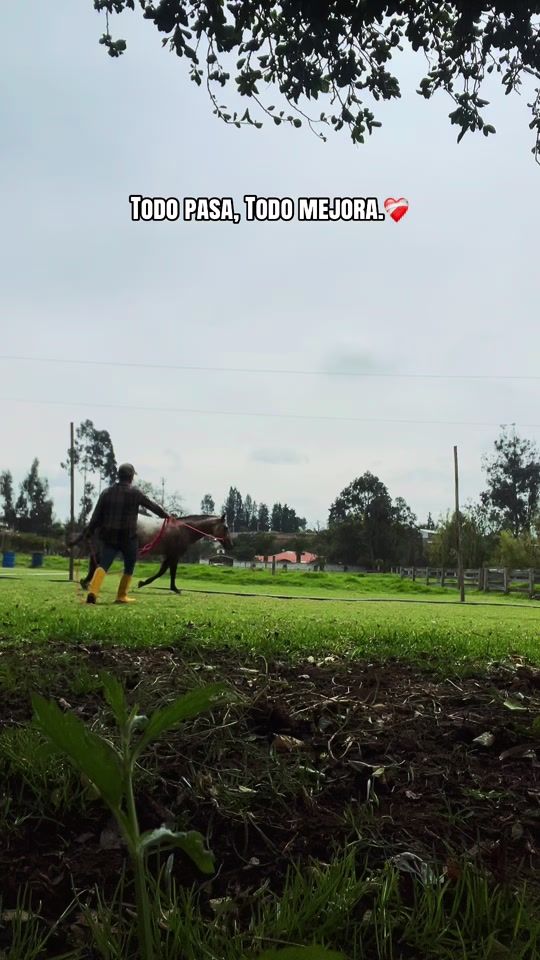 TikTok video thumbnail by leninc.222