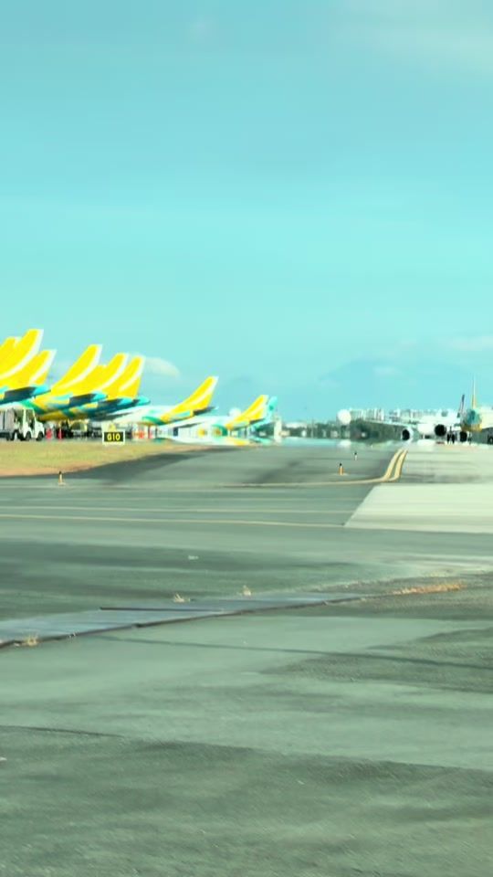 TikTok video thumbnail by letsflywithdell