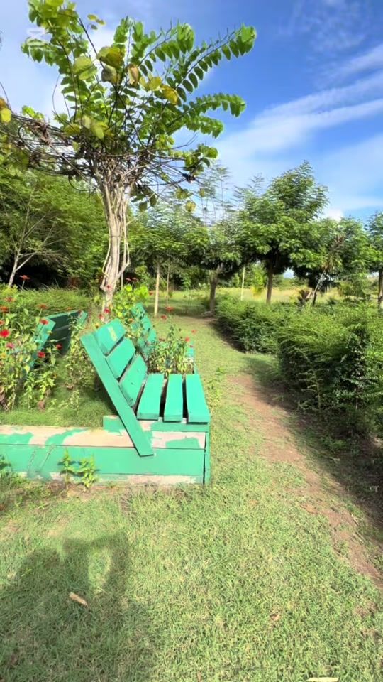 TikTok video thumbnail by couleur_ebene002