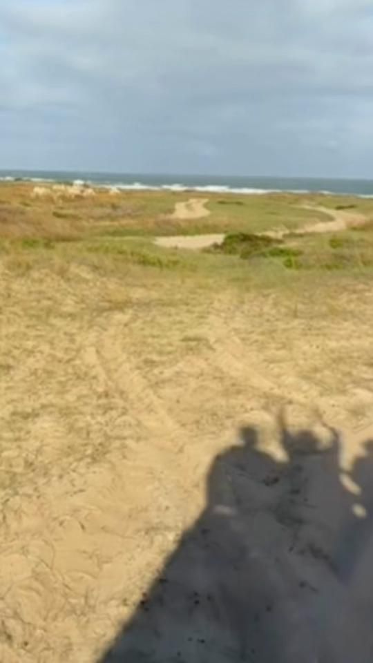 TikTok video thumbnail by berenicceagus