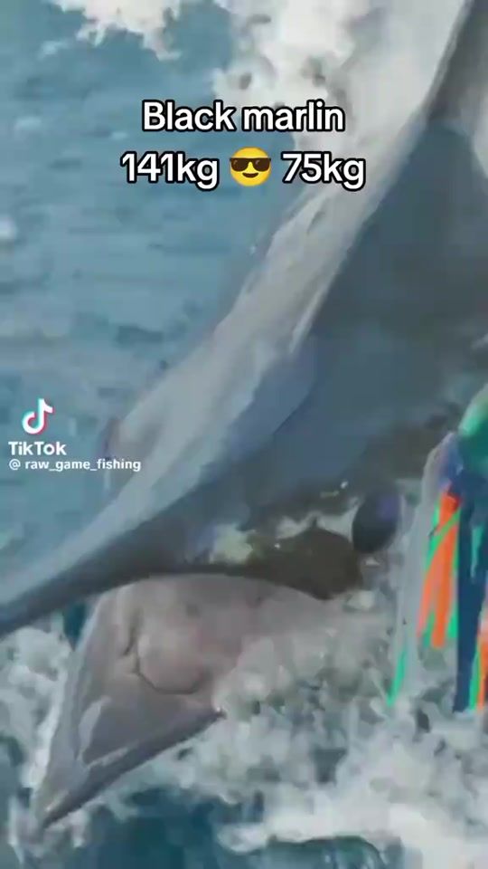TikTok video thumbnail by king_tuna750