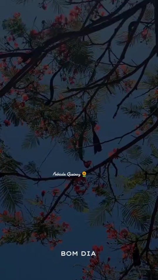 TikTok video thumbnail by fabiulaqueiroz0