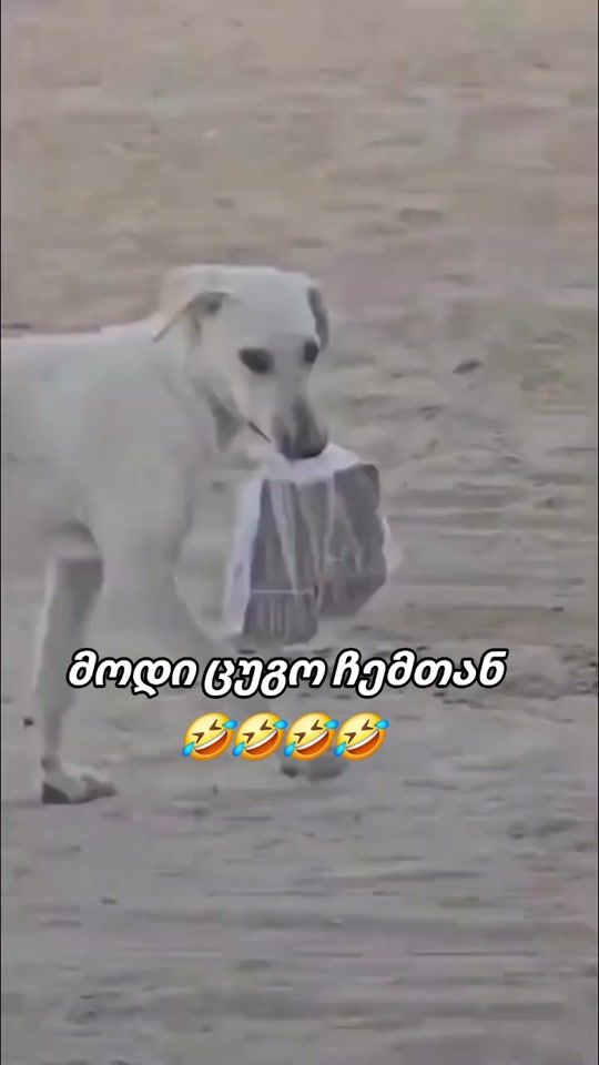TikTok video thumbnail by temo_nusxe