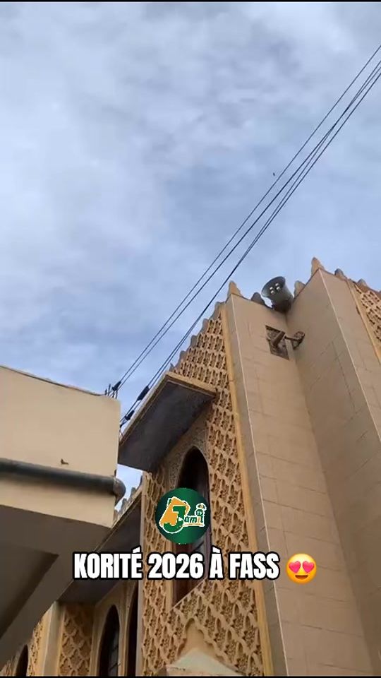 TikTok video thumbnail by jamil.tv74