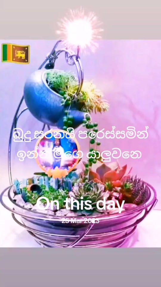 TikTok video thumbnail by user0773345790