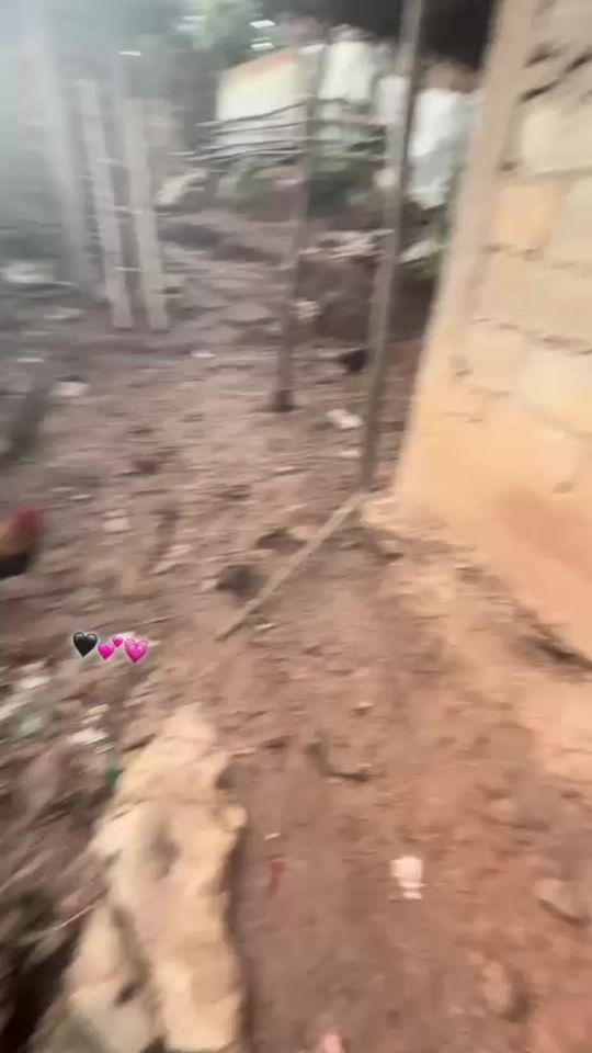 TikTok video thumbnail by user8101764758402
