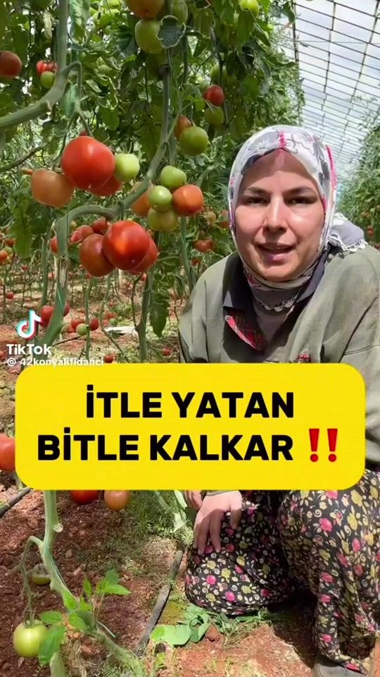 TikTok video thumbnail by __afaq__777