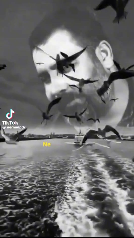 TikTok video thumbnail by prensess.7672
