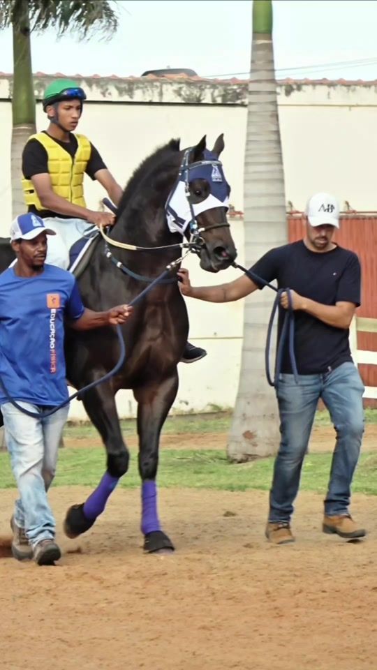 TikTok video thumbnail by turfeeunapolis