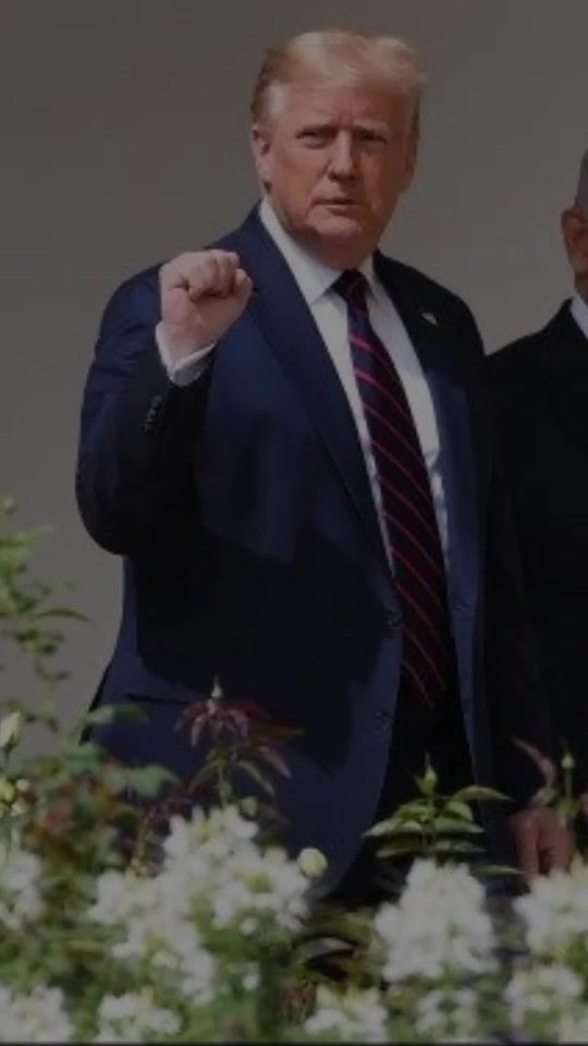 TikTok video thumbnail by dalmar__8